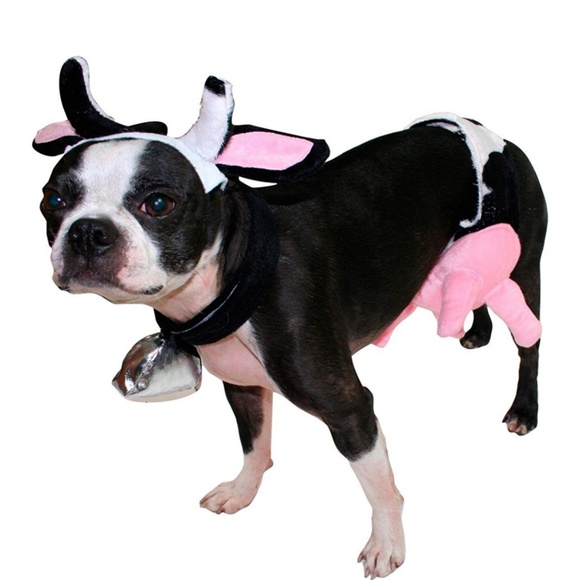 Cow Dog or Cat Costume Hyde and Eek! Boutique XS - Picture 4 of 4